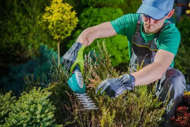 landscaping services Laddonia